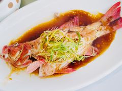 清蒸老虎斑-胜记酒家·风味线(南山花园城店)