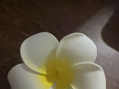 -泰王玺·正宗泰式按摩SPA(九霄店)