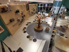 -飞行喵MR PILOT|猫舍·猫咖(静安大融城店)