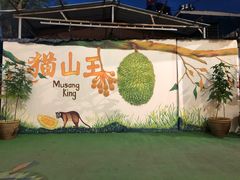 -都念榴莲·城市榴莲