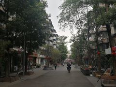 -泡桐树街