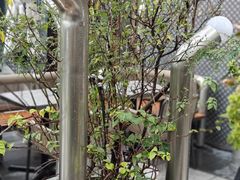 -blend咖啡部落(卓悦中心店)