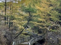 -苏木山森林公园