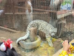 -青藏高原野生动物园