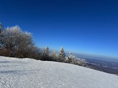 -亚布力新体委滑雪场