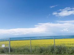 -青海湖国家重点风景名胜区