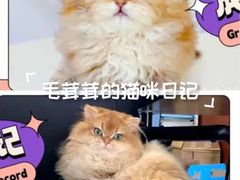 -小猫来了·猫舍(红山六九七九店)