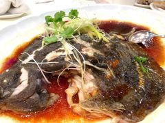 多宝鱼-渔民新村(番禺总店)