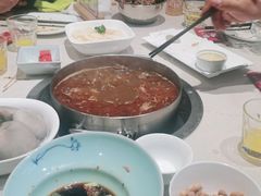 -浩爷羊蝎子火锅(望京店)