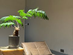 -三圣花乡旅游区