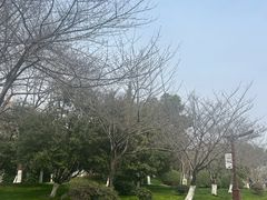 -堤角公园