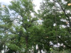 -丽泽山庄·生态怀柔菜·虹鳟鱼(红螺寺店)