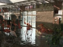 -太原动物园