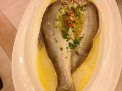 android_upload_pic-小厨娘淮扬菜(板桥一店)