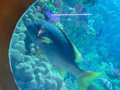 -海合安青岛极地海洋公园