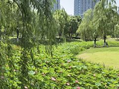-沐仙湖湿地公园