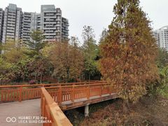 -广东花都湖国家湿地公园