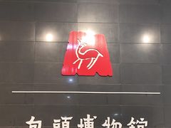 -包头博物馆