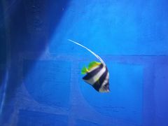 -福州罗源湾海洋世界旅游区