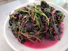 -胖哥家藏菜(护国路店)