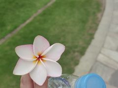 -大堂酒廊·亚龙湾万豪度假酒店