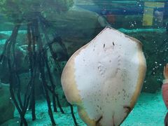 -珠海长隆海洋王国