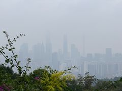 -广州市白云山风景名胜区