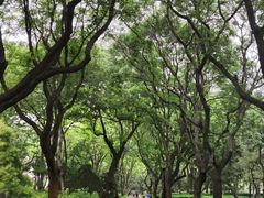 -玲珑塔公园