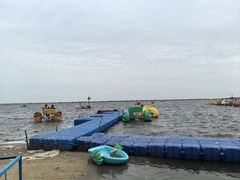 -碧海金沙
