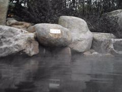 -天目湖涵田半山温泉水乐园