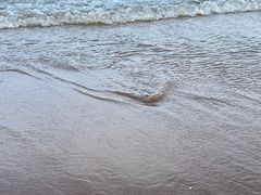 -南戴河旅游度假区