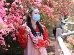 -木兰云雾山