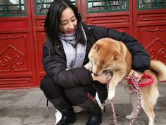 -北京古城老院厉晓麟精致菜