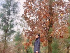 -金堂县云顶石城风景区