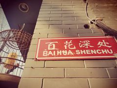 -百花深处胡同