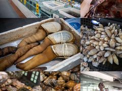 -寻味顺德·南记酒家·传统顺德菜·鱼生(广源路店)