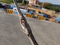 -鹅銮鼻公园