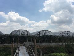 -马陆小张葡萄园农家乐