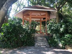-黄埔荔枝公园