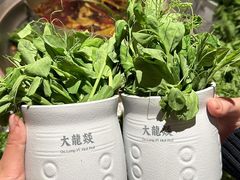 -大龙燚火锅(春熙店)
