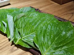 新鲜苏子叶-泥炉烧肉师(新街口金銮巷店)