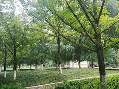 -龙头寺公园