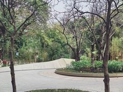 -晓港公园