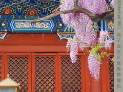 -北京国子监胡同