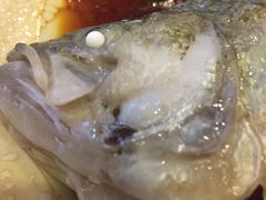 -清心鸡沙田乳鸽店·非遗传承(石溪店)