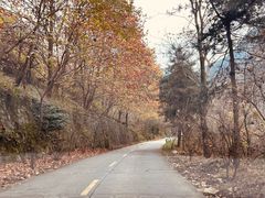 -秦岭终南山世界地质公园翠华山景区