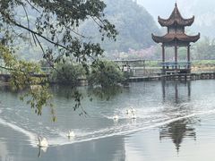 -靖西鹅泉风景区
