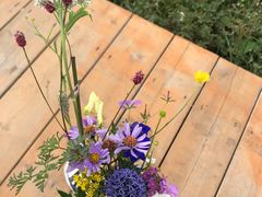 -白草畔自然风景区