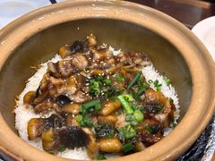 -红星光发煲仔饭(文海店)