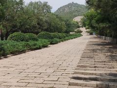 -府君山公园